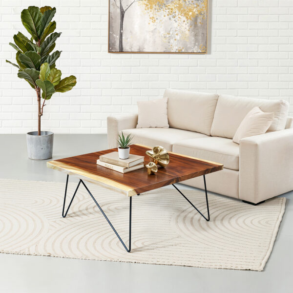 Solid Wood Coffee Table