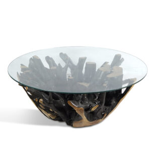 Teak Root Coffee Table