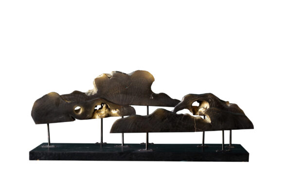 Cloud Sculpture