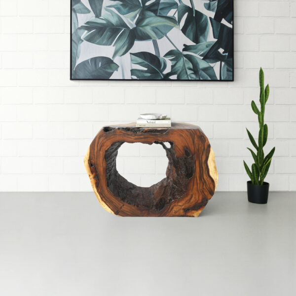 Organic Console