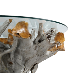 Teak Root Coffee Table