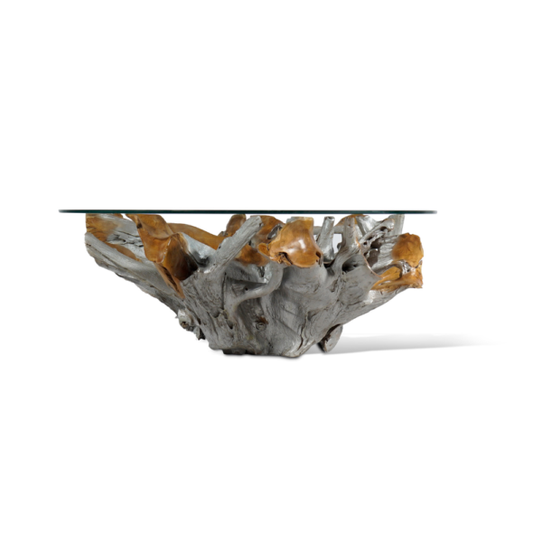Teak Root Coffee Table