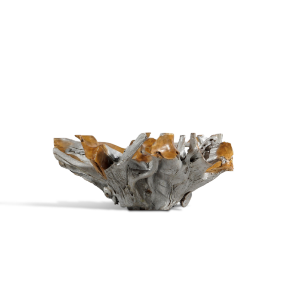 Teak Root Coffee Table