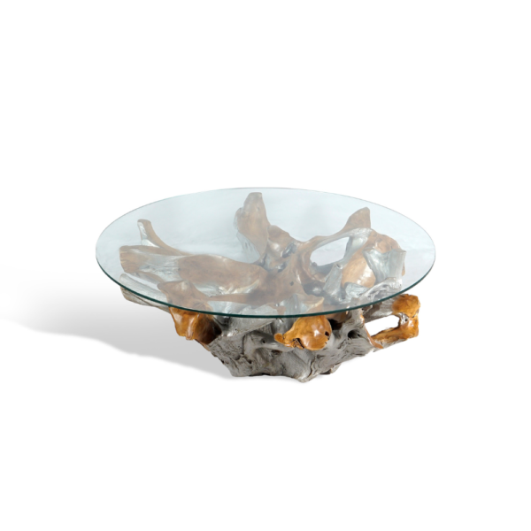 Teak Root Coffee Table