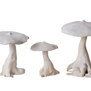 Mushroom Sculpture