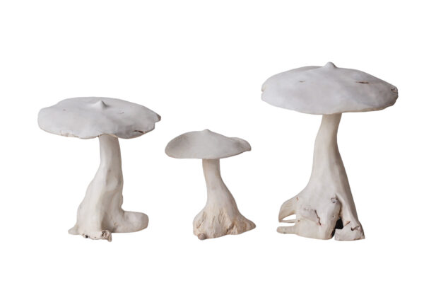 Mushroom Sculpture