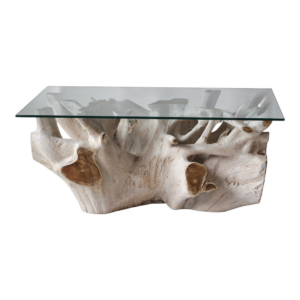 Teak Root Coffee Table