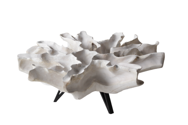Teak Root Coffee Table