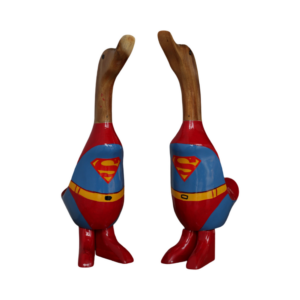 Superman Duck