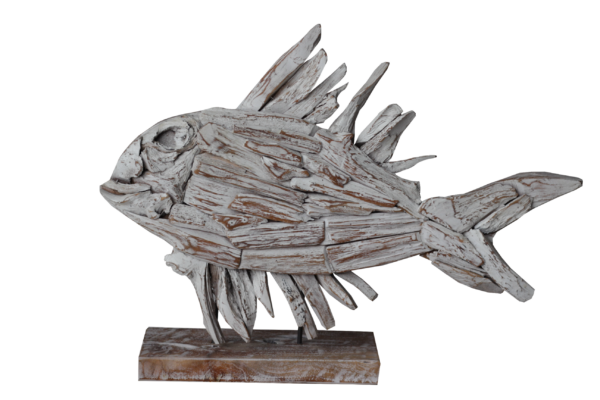 Fish Decor