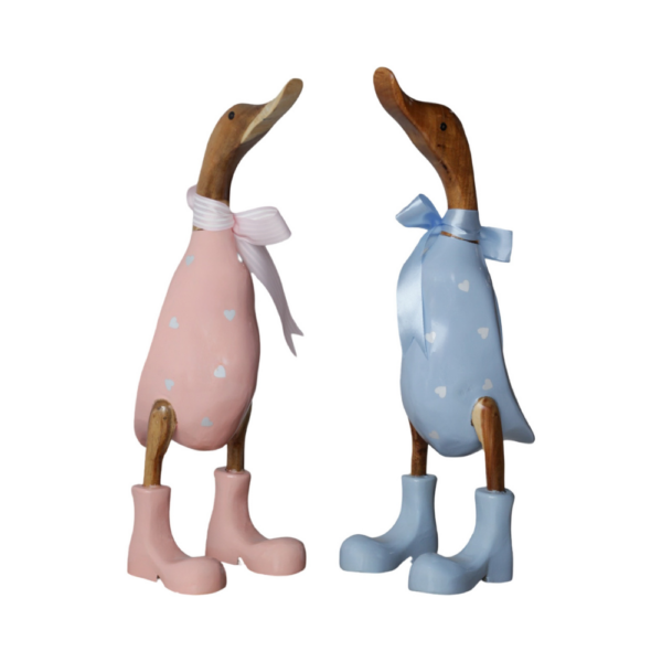 Couple Duck