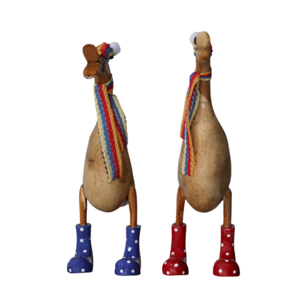 Couple Duck