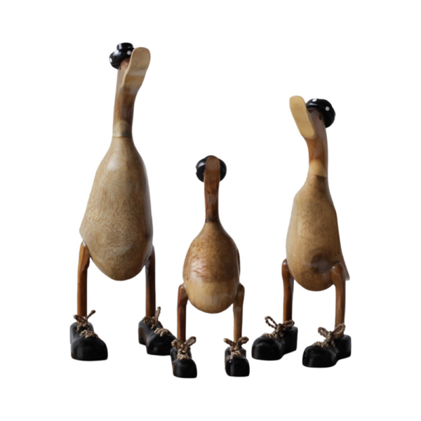 Family Duck