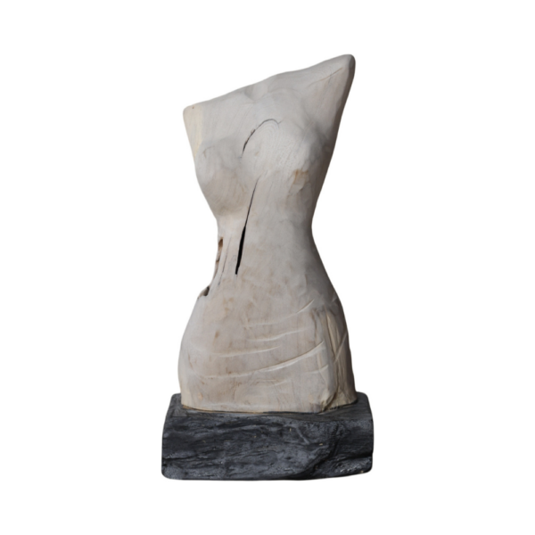 Body Shape Sculpture