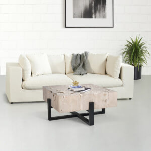 Teak Root Block Coffee Table