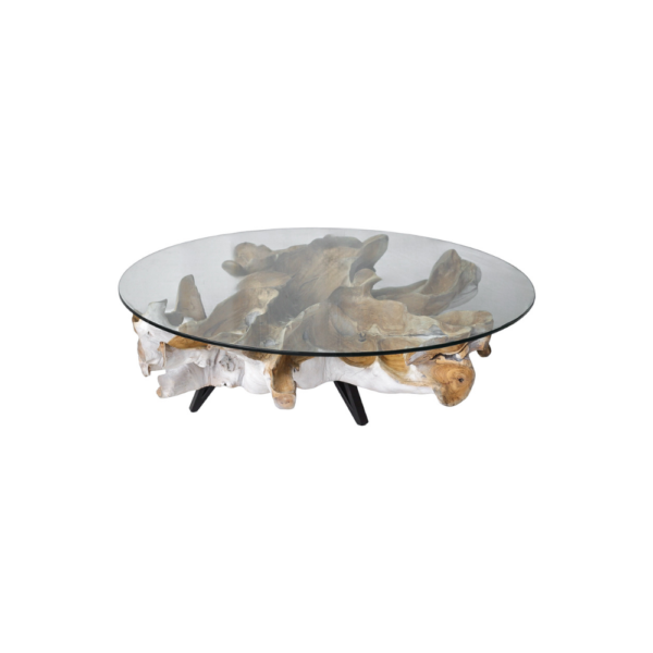 Teak Root Coffee Table