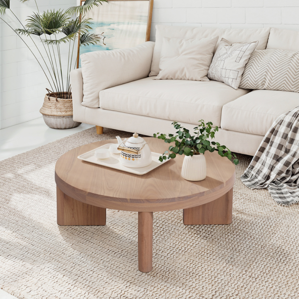 Solid Wood Coffee Table
